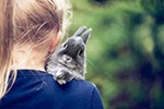 Почему стоит купить ребенку кролика?